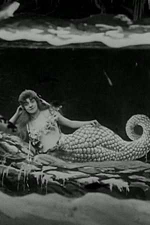 The Mermaid's poster