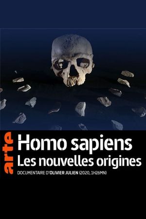 Homo sapiens, the New Origins's poster