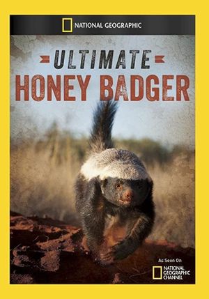 Ultimate Honey Badger's poster