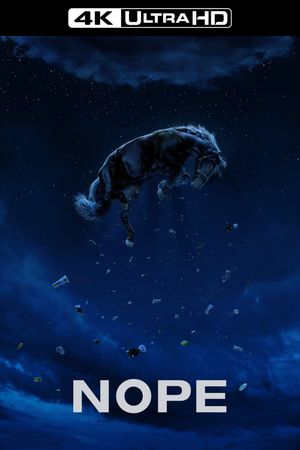 Nope's poster