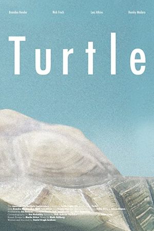 Turtle's poster