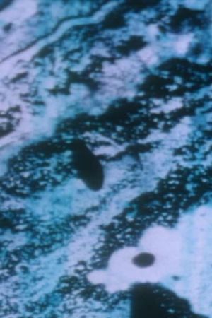 Anomalies of the Unconscious's poster