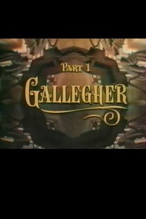 The Adventures of Gallegher's poster