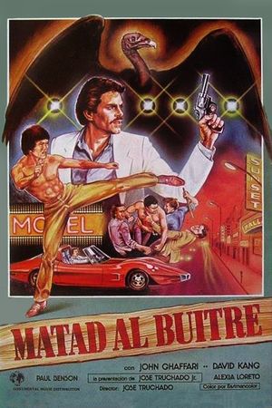 Killing the Vulture's poster