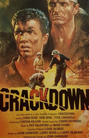 Crackdown's poster