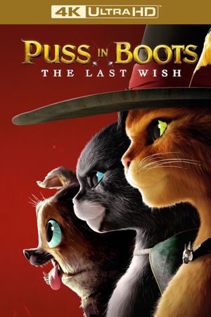 Puss in Boots: The Last Wish's poster