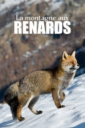 La montagne aux renards's poster