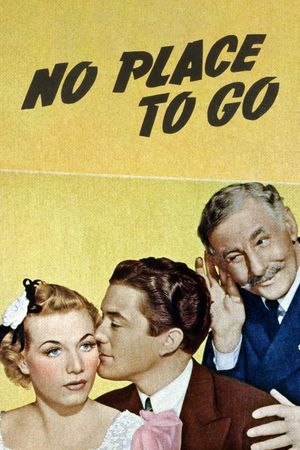 No Place to Go's poster image