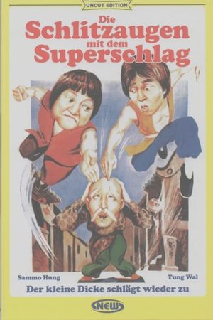The Incredible Kung Fu Master's poster image