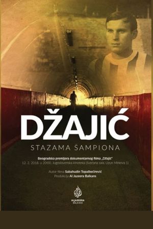 Dzajic's poster image