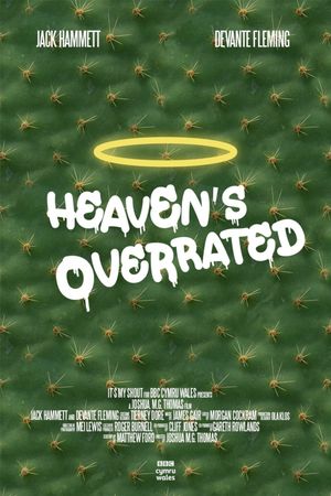 Heaven is Overrated's poster