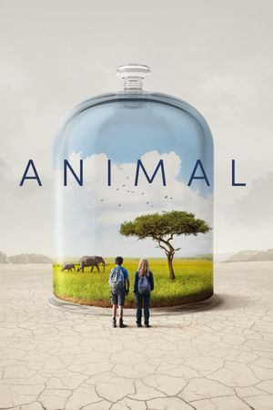 Animal's poster