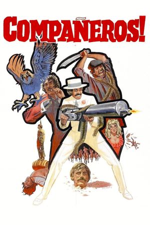 Compañeros's poster