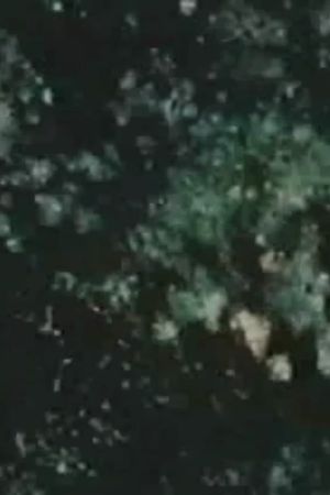 Song 14's poster