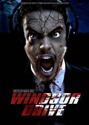 Windsor Drive's poster