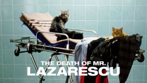 The Death of Mr. Lazarescu's poster