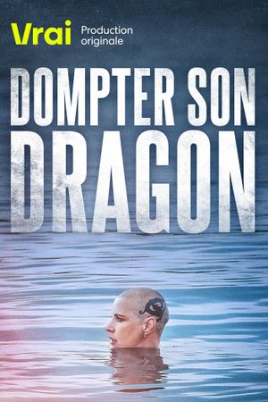 Dompter son dragon's poster