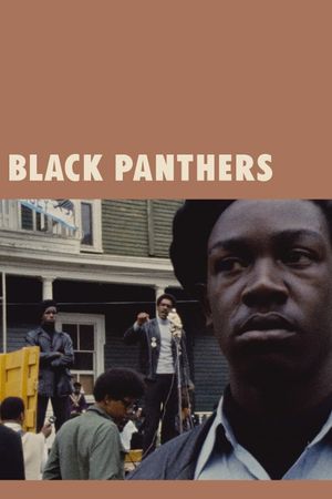 Black Panthers's poster