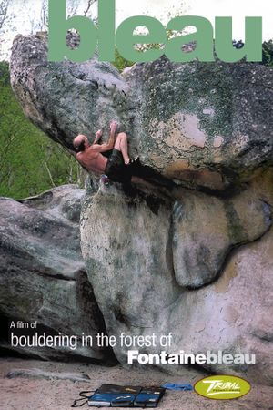 Bleau's poster