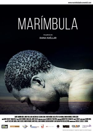 Marímbula's poster