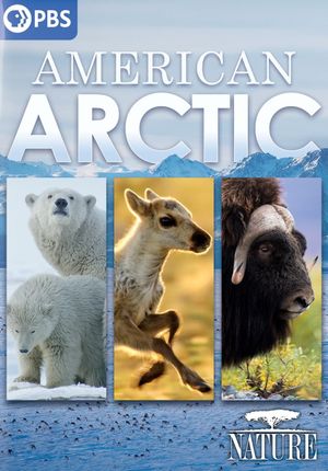 Nature: American Arctic's poster