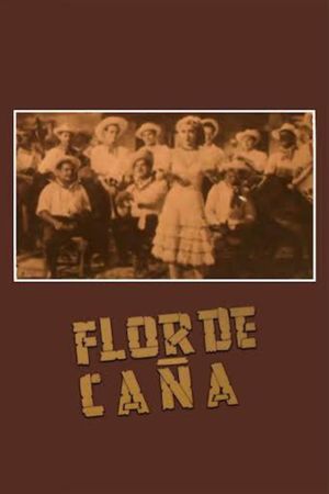 Flor de caña's poster
