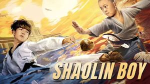 The Shaolin Boy's poster