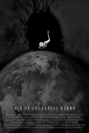 Din of Celestial Birds's poster