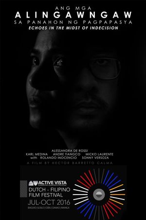 Echoes in the Midst of Indecision's poster