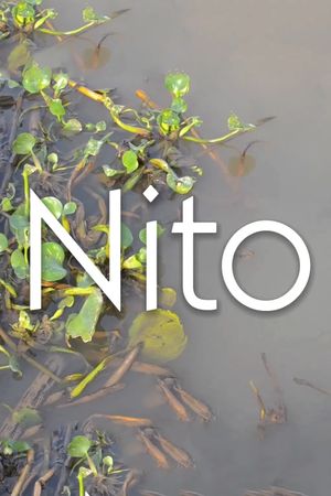 Nito's poster