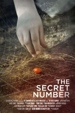 The Secret Number's poster
