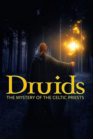 Die Druiden: Mächtige Priester der Kelten's poster