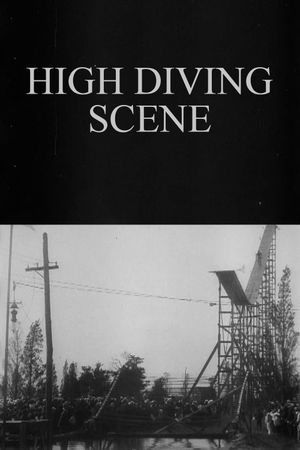 High Diving Scene's poster image