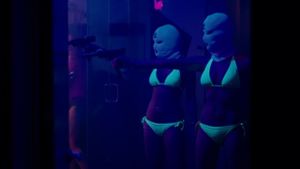 Spring Breakers's poster