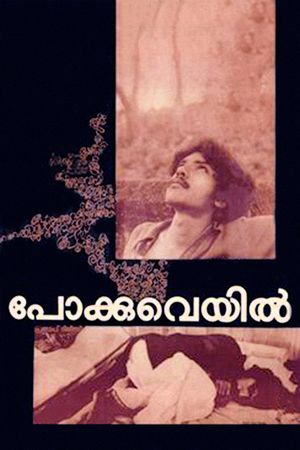 Pokkuveyil's poster