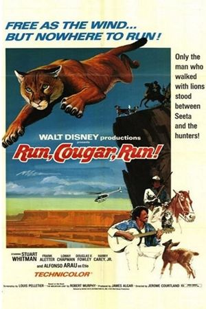 Run, Cougar, Run's poster