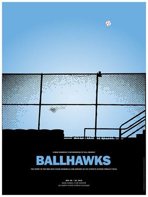 Ballhawks's poster