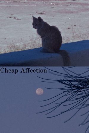 Cheap Affection's poster