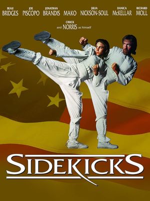 Sidekicks's poster