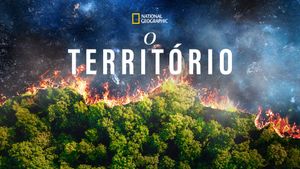 The Territory's poster