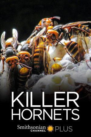 Killer Hornets's poster