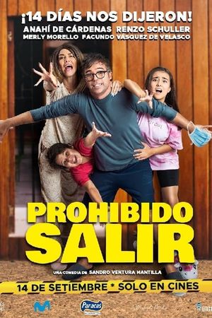 Prohibido salir's poster