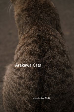 Arakawa Cats's poster
