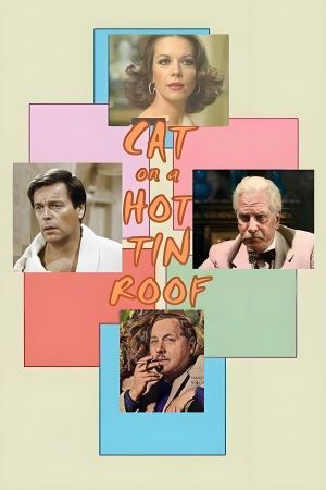 Cat on a Hot Tin Roof's poster