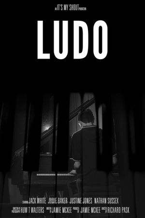 Ludo's poster image