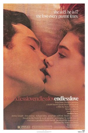 Endless Love's poster