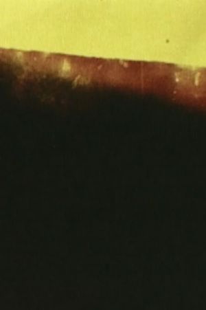 The Distance Between Here and There's poster