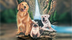 Homeward Bound: The Incredible Journey's poster