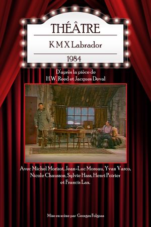 K M X Labrador's poster