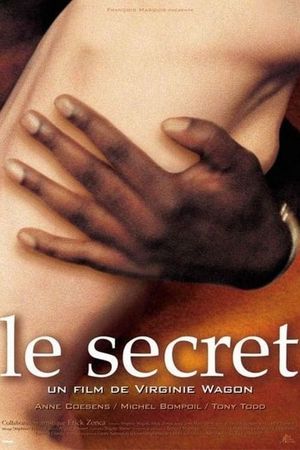 The Secret's poster